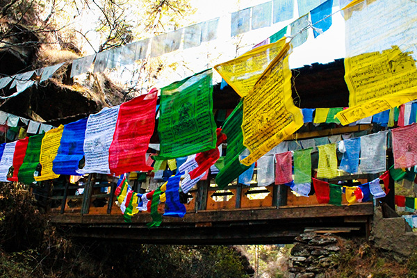 Bhutan Agro Tours