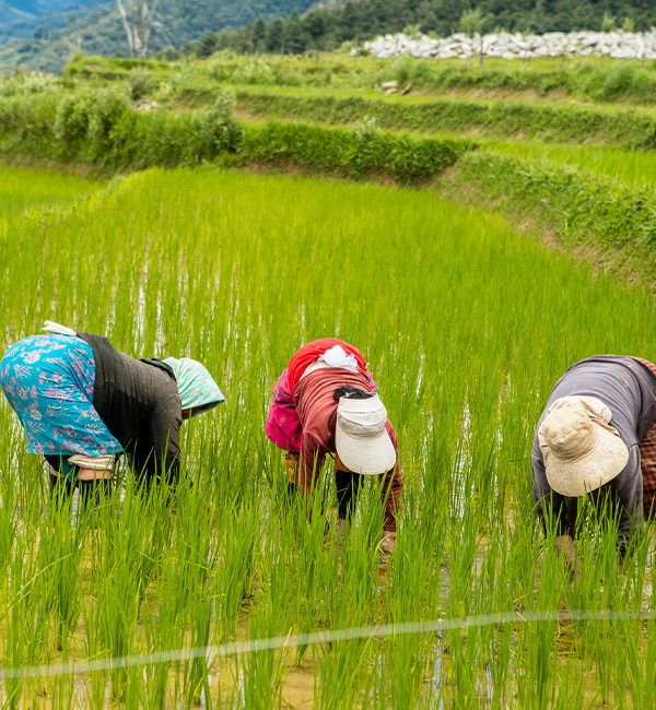 Agriculture & Eco-Adventure Tour